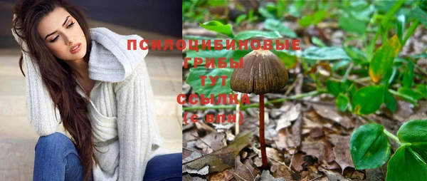 крисы Алексеевка