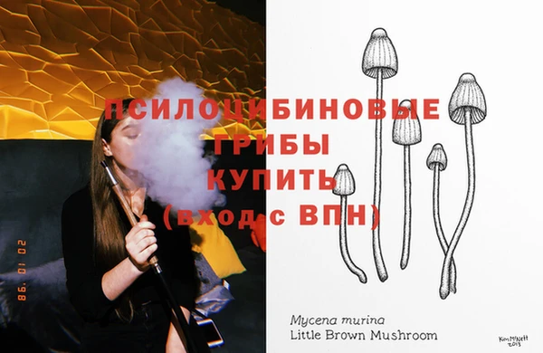 герыч Алексин